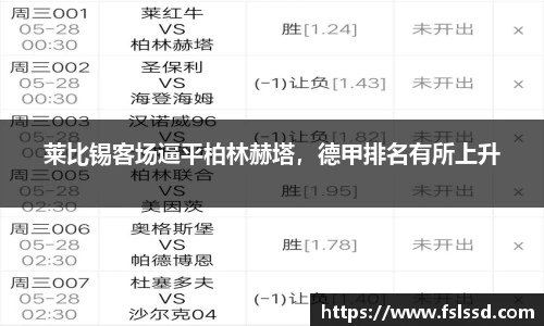 莱比锡客场逼平柏林赫塔，德甲排名有所上升