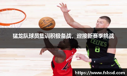 猛龙队球员集训积极备战，迎接新赛季挑战