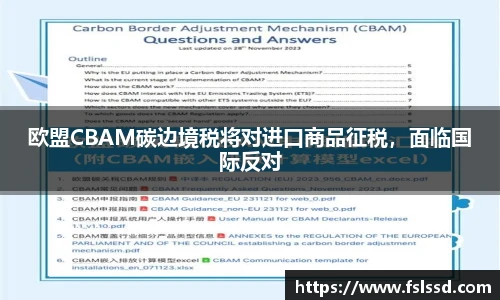 欧盟CBAM碳边境税将对进口商品征税，面临国际反对